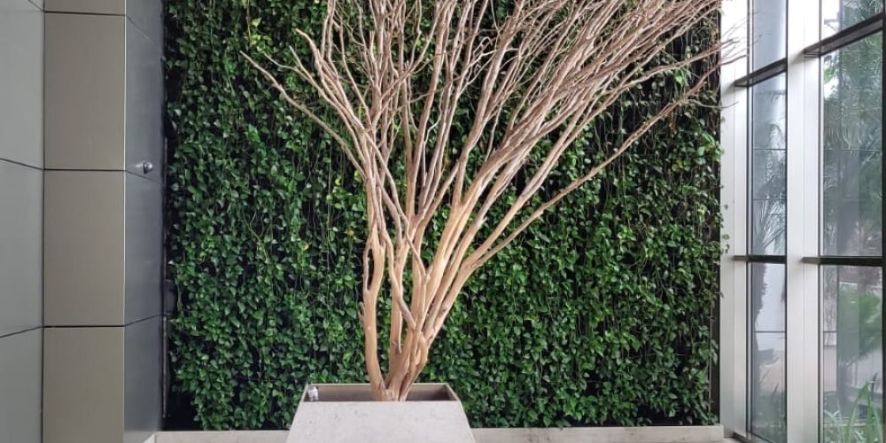 WhatsApp-Image-2024-10-03-at-13.20.50